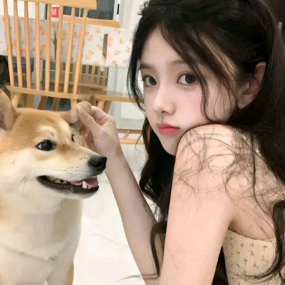 狐蝠 海报